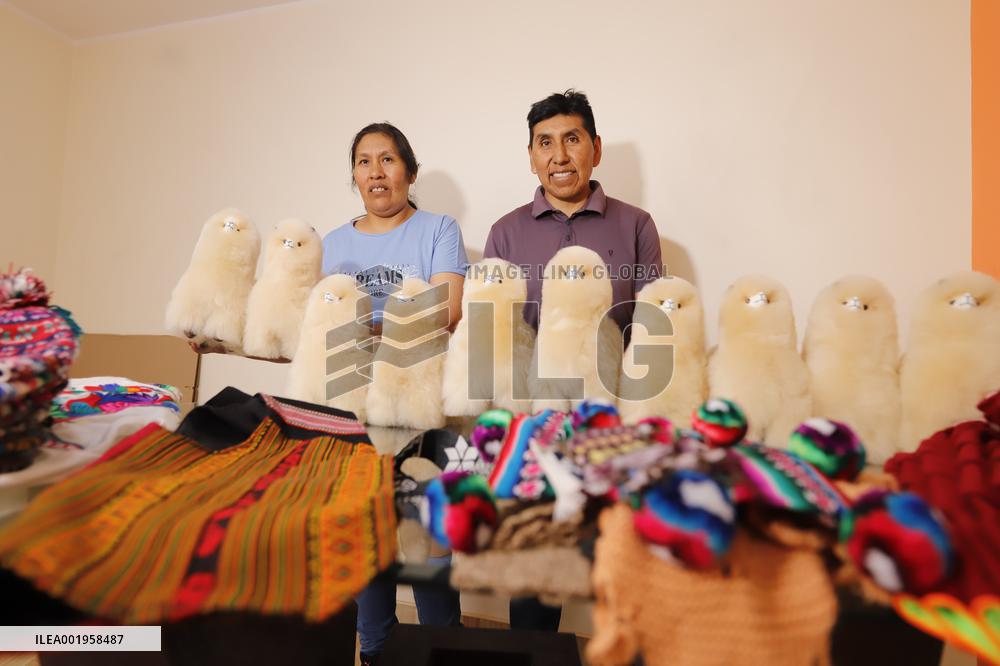 (CIIE)CHINA-CIIE-PERU-ALPACA-FUR TOYS-CRAFTSMAN(CN)