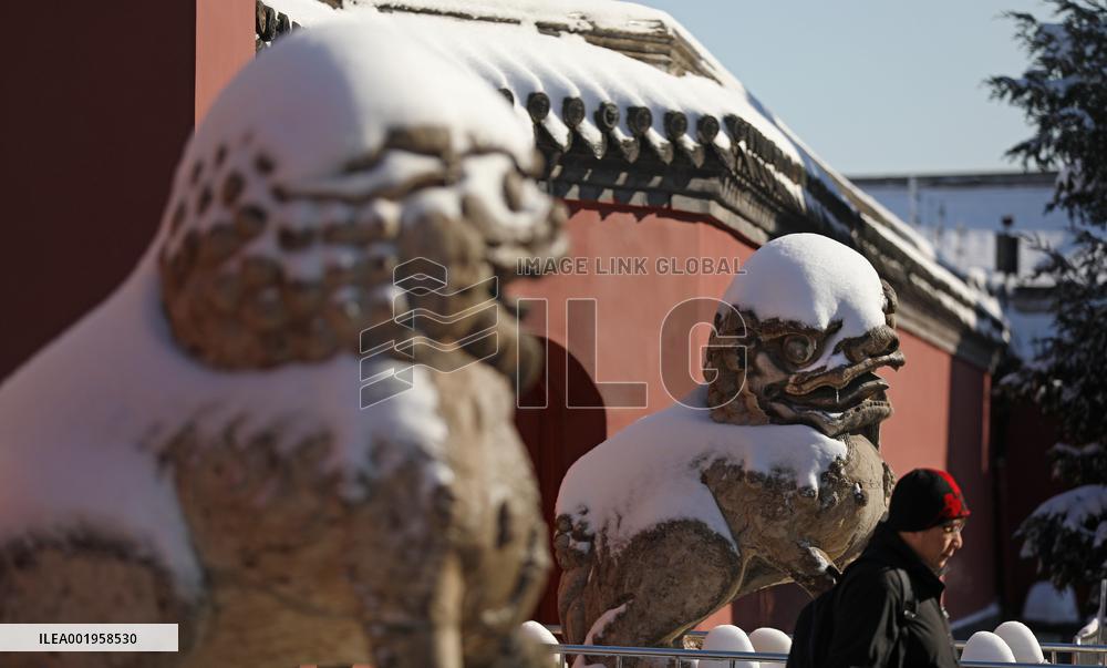 CHINA-LIAONING-SHENYANG-IMPERIAL PALACE-SNOW (CN)