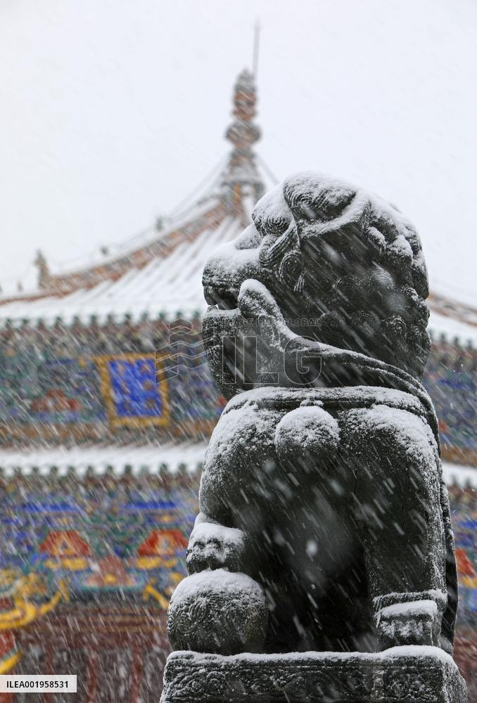 CHINA-LIAONING-SHENYANG-IMPERIAL PALACE-SNOW (CN)