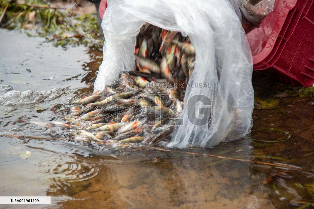 Fish stocking
