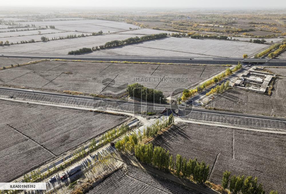 CHINA-XINJIANG-YULI-COTTON FARMER (CN)