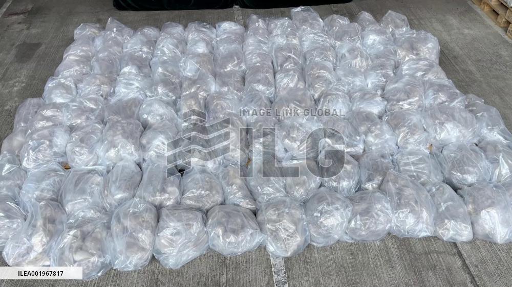 Hong Kong Customs detects largest-ever suspected solid methamphetamine case