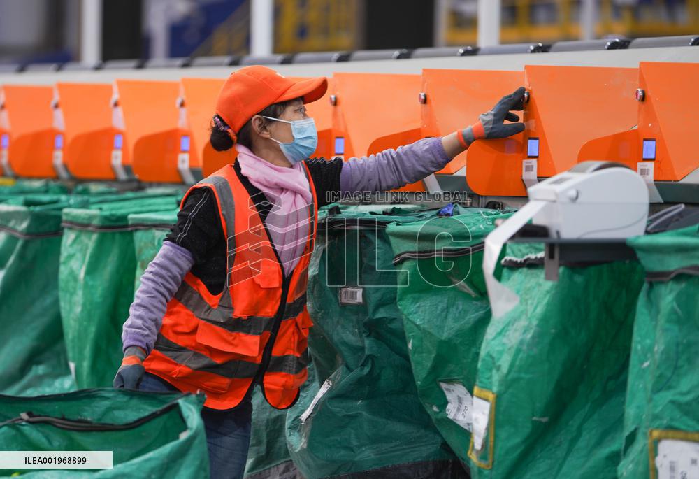 Double 11 Shopping Logistics Peak in Zouping