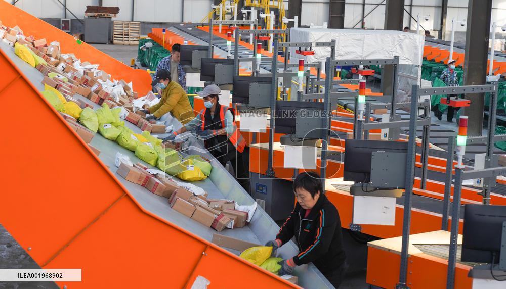 Double 11 Shopping Logistics Peak in Zouping