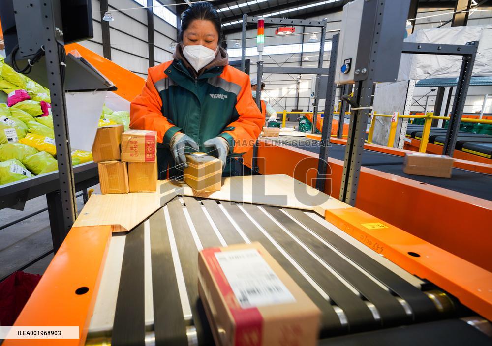 Double 11 Shopping Logistics Peak in Zouping