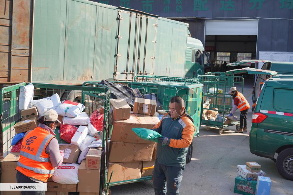 Double 11 Shopping Logistics Peak in Zouping