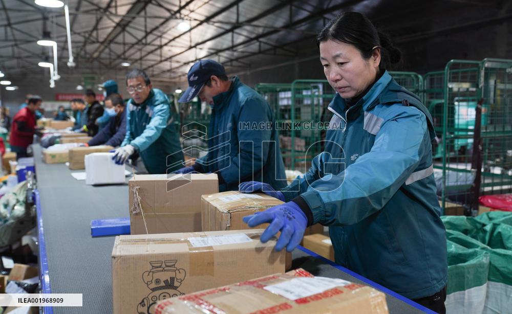 Double 11 Shopping Logistics Peak in Zouping