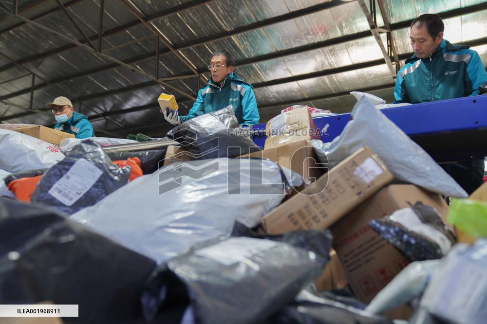 Double 11 Shopping Logistics Peak in Zouping