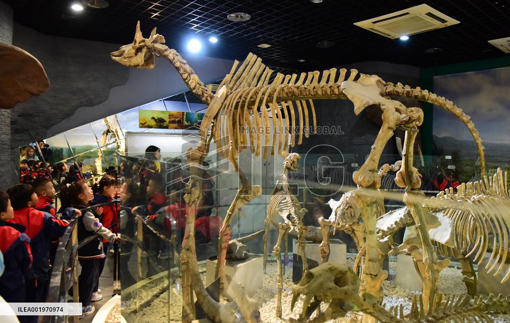 CHINA-HENAN-ZHENGZHOU-PUPILS-EDUCATION TOUR (CN)