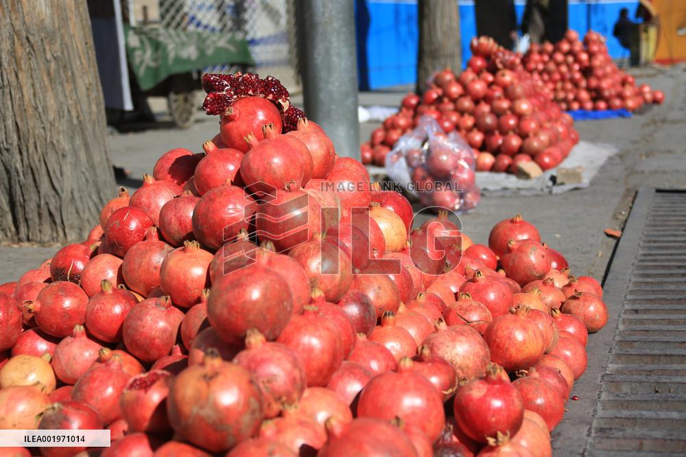 AFGHANISTAN-KANDAHAR-POMEGRANATES-CIIE