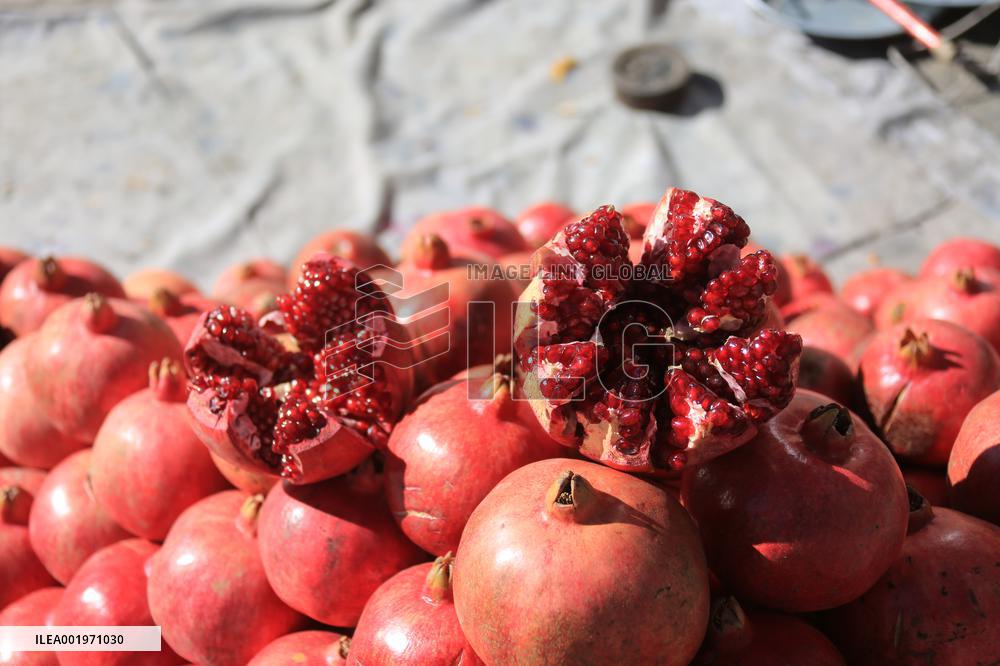 AFGHANISTAN-KANDAHAR-POMEGRANATES-CIIE