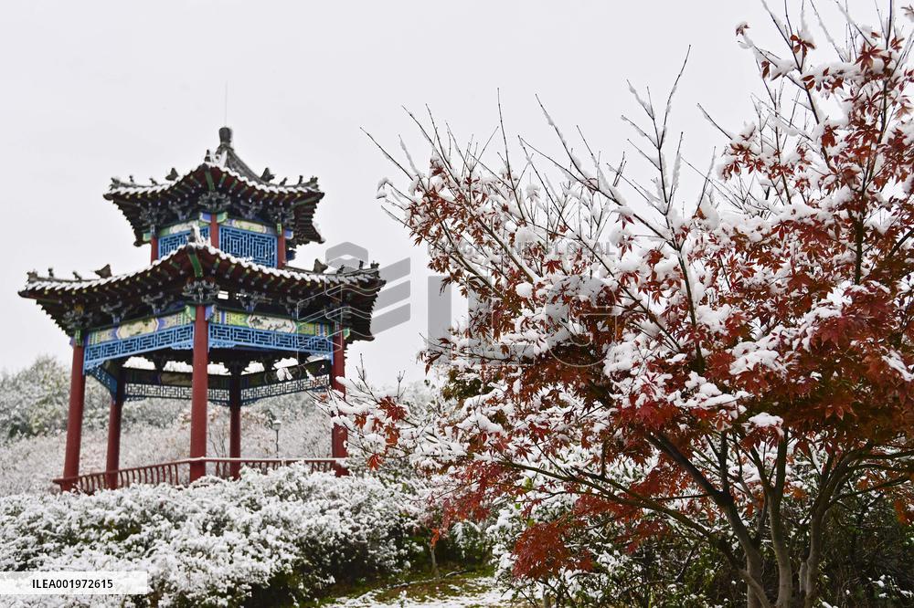 #CHINA-SHANDONG-SNOWFALL (CN)