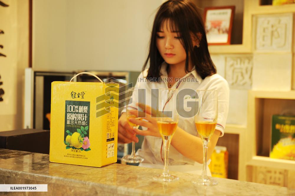 CHINA-GUIZHOU-MEXICO-CILI-PRICKLY PEAR-ECONOMY (CN)