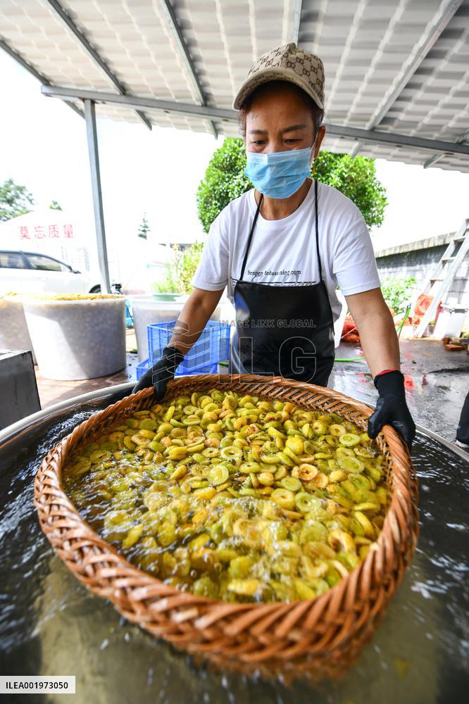 CHINA-GUIZHOU-MEXICO-CILI-PRICKLY PEAR-ECONOMY (CN)