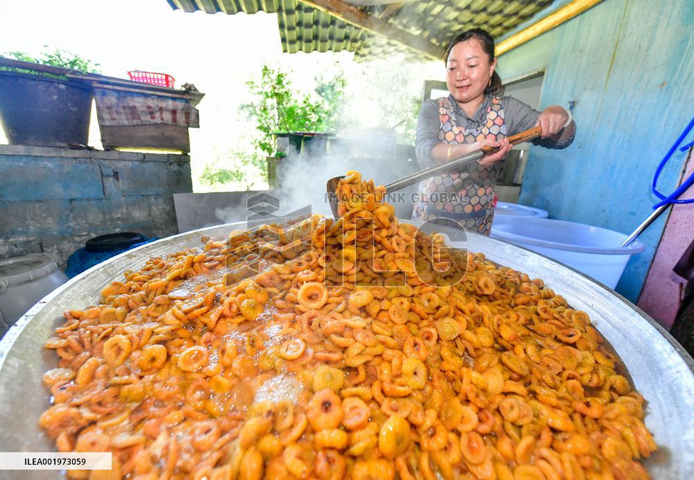 CHINA-GUIZHOU-MEXICO-CILI-PRICKLY PEAR-ECONOMY (CN)