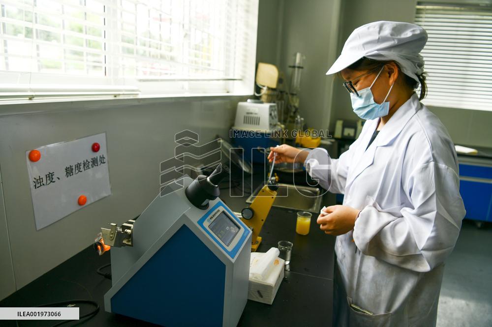 CHINA-GUIZHOU-MEXICO-CILI-PRICKLY PEAR-ECONOMY (CN)