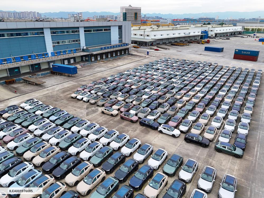 Chongqing Vehicle Import Port