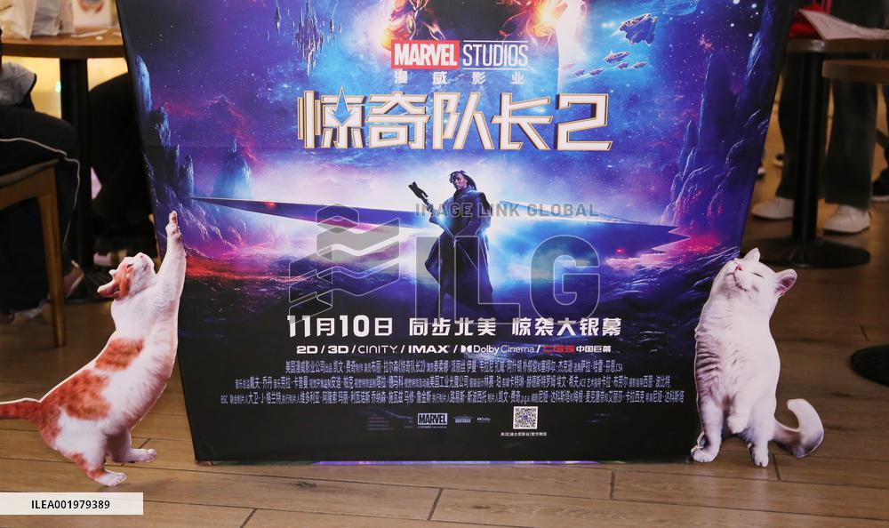 Film The Marvels Release in Shanghai
