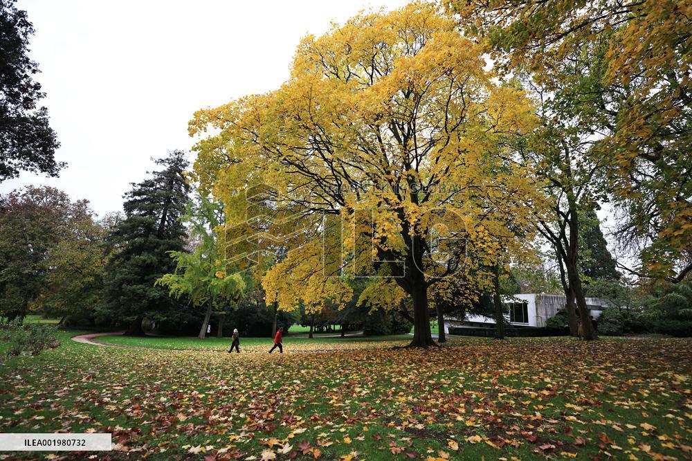 FRANCE-PARIS-AUTUMN-SCENERY
