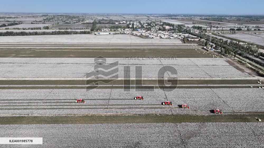 Xinhua Headlines: Xinjiang cotton -- the epitome of modern agriculture