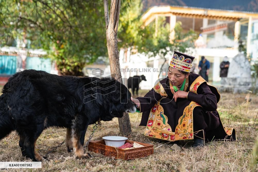 (InTibet)CHINA-XIZANG-NYINGCHI-GONGBO NEW YEAR-CELEBRATION (CN)