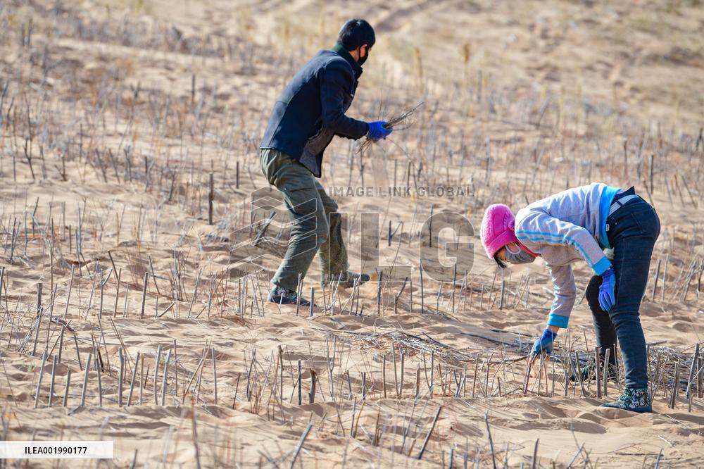 Maowusu Sandy Land in Ordos