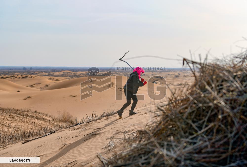 Maowusu Sandy Land in Ordos
