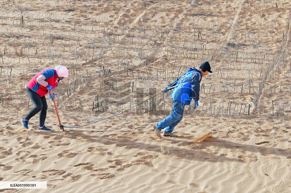 Maowusu Sandy Land in Ordos