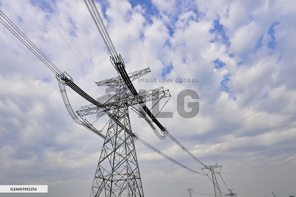 Social Electricity Consumption