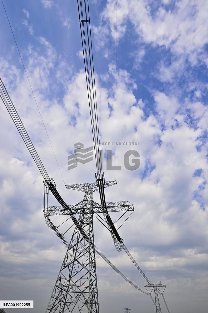 Social Electricity Consumption