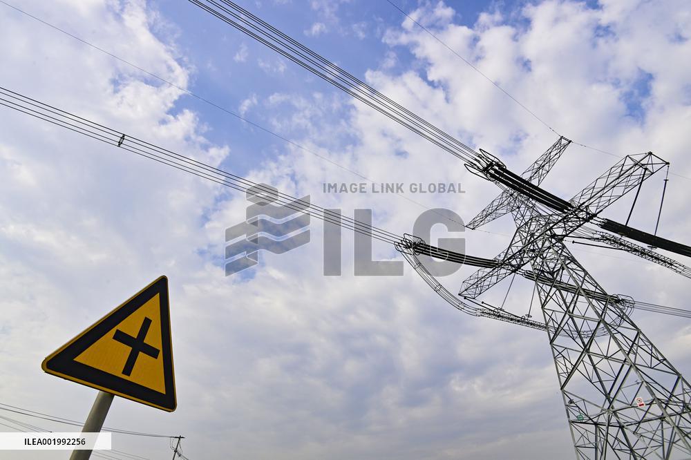 Social Electricity Consumption