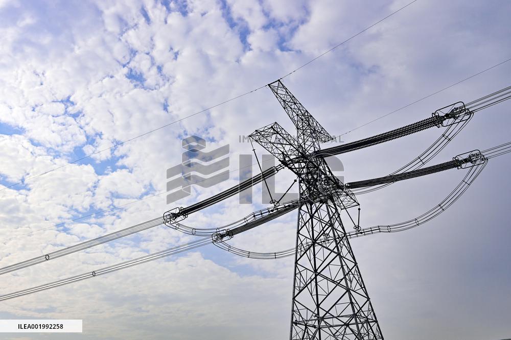 Social Electricity Consumption