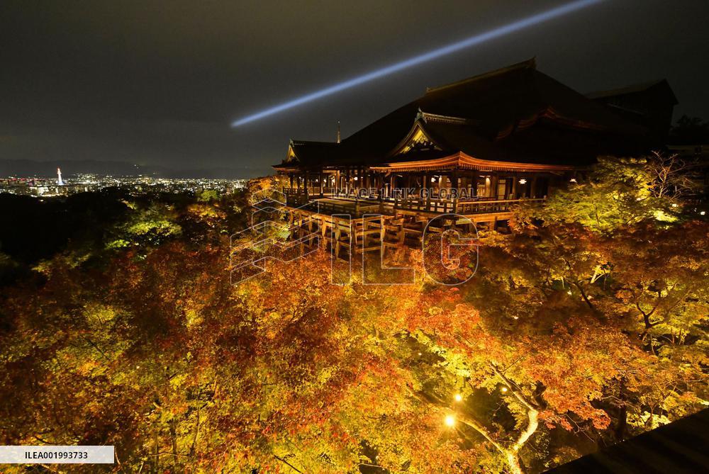 Kiyomizu temple lit up in Kyoto