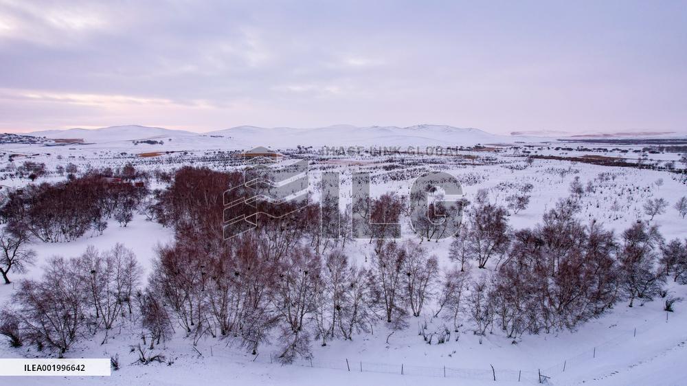 CHINA-INNER MONGOLIA-WEST UJIMQIN-SNOW SCENERY (CN)