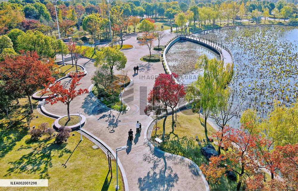 #(EcoChina)CHINA-EARLY WINTER-SCENERY (CN)