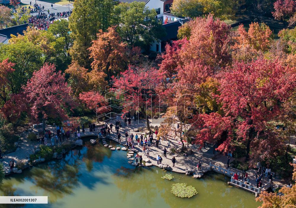 #(EcoChina)CHINA-EARLY WINTER-SCENERY (CN)