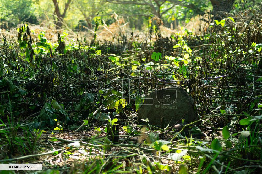 Armero Tragedy Anniversary