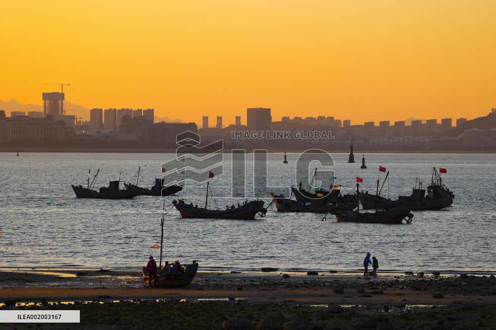 Fishing Boats Sailing at Sunset in Qingdao