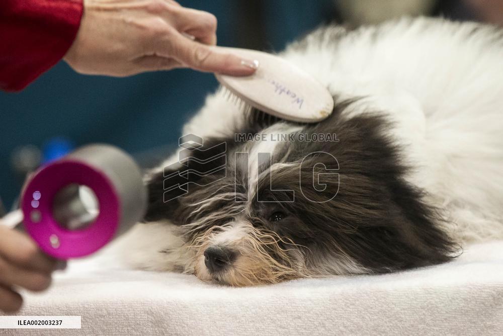 CANADA-MISSISSAUGA-CHRISTMAS PET SHOW