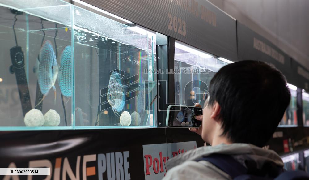 AUSTRALIA-SYDNEY-NATIONAL PET SHOW