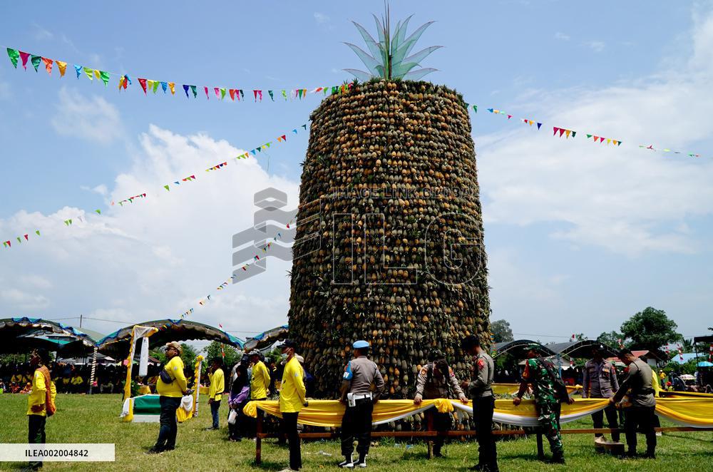 INDONESIA-SOUTH KALIMANTAN-PINEAPPLE FESTIVAL