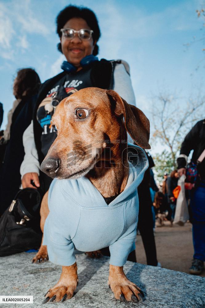 4th edition of Paris Sausage Walk