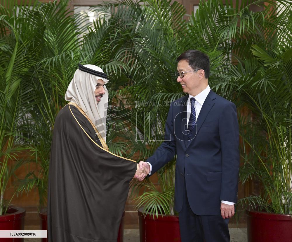 CHINA-BEIJING-HAN ZHENG-ARAB AND ISLAMIC FOREIGN MINISTERS-MEETING (CN)