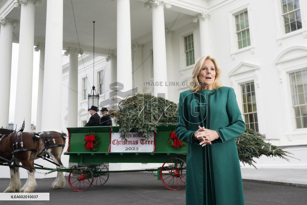 Jill Biden receives the Christmas Tree - Washington