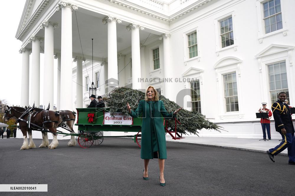 Jill Biden receives the Christmas Tree - Washington