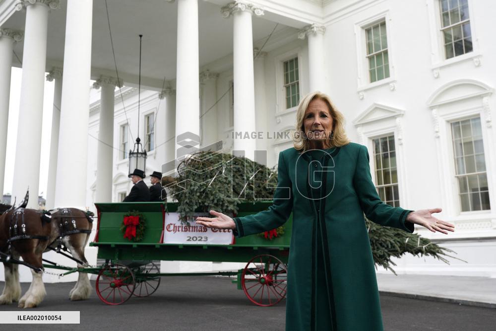 Jill Biden receives the Christmas Tree - Washington
