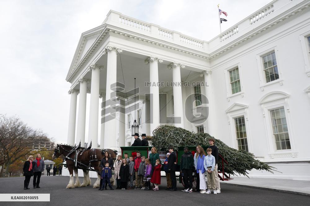 Jill Biden receives the Christmas Tree - Washington