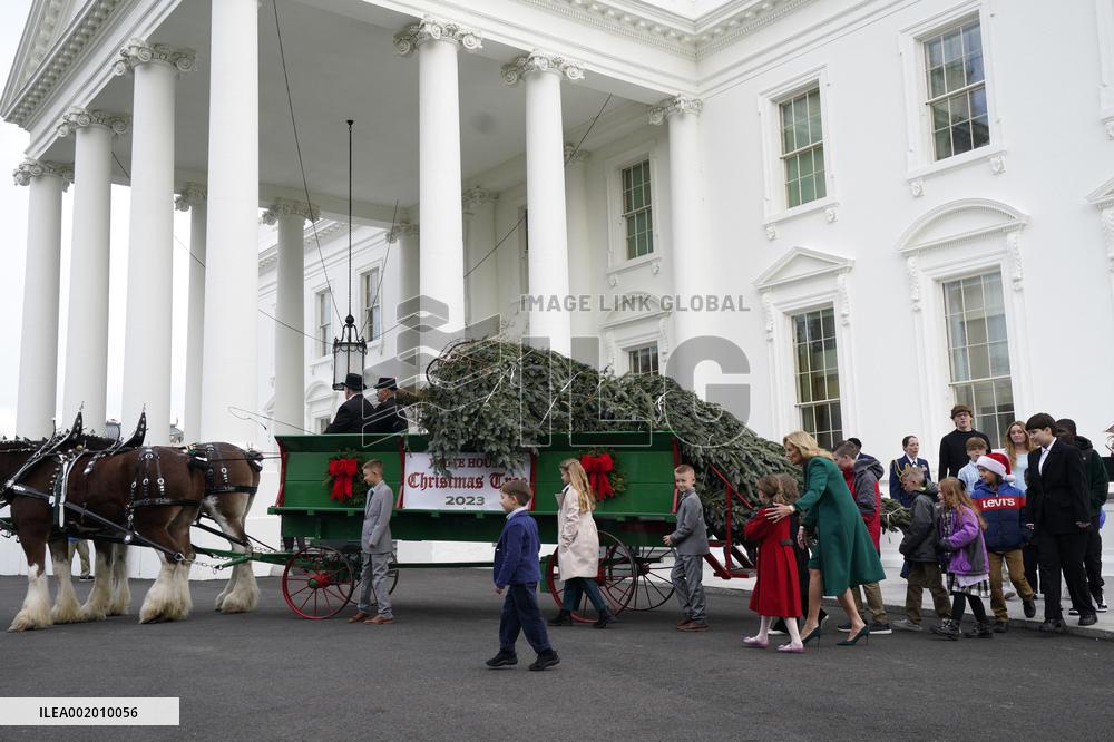Jill Biden receives the Christmas Tree - Washington