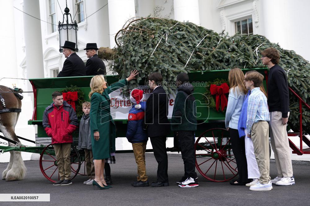 Jill Biden receives the Christmas Tree - Washington