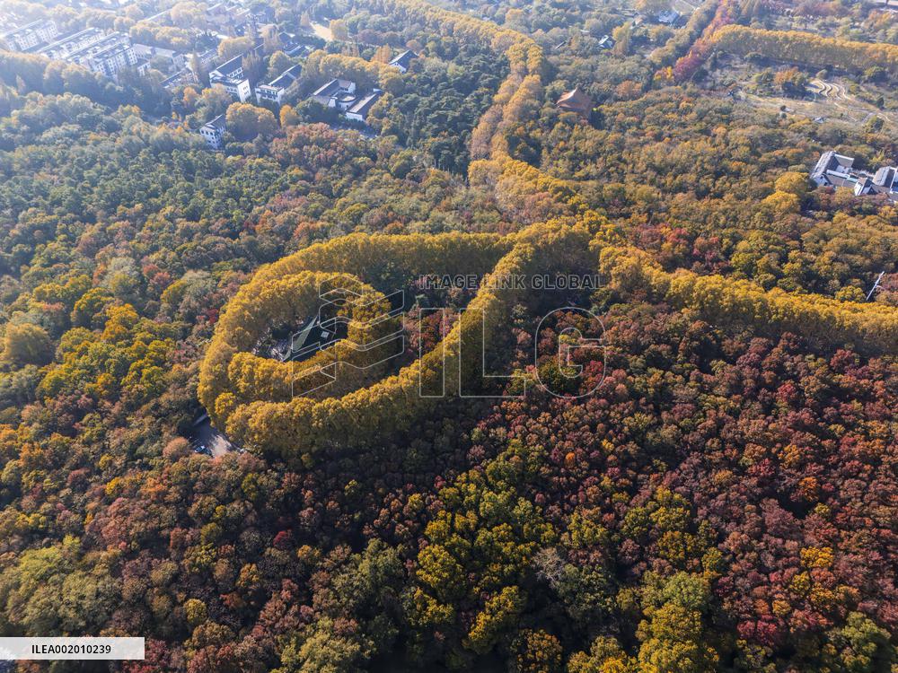 Meiling Palace at Zhongshan Mountain National Park in Nanjing
